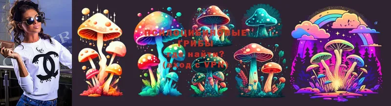 Псилоцибиновые грибы Psilocybe  Нефтекумск 